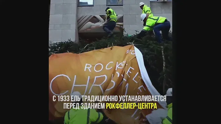 В Нью-Йорк прибыла главная рождественская елка страны